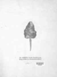 Uredo cruciferarum image